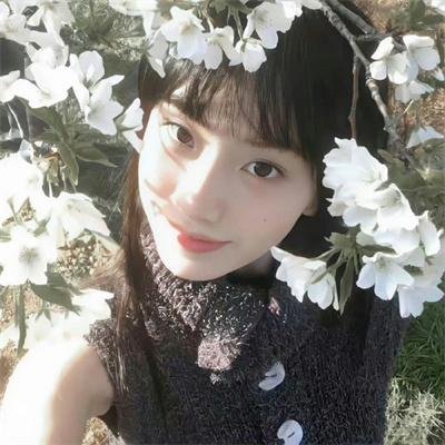 白色驯鹿
